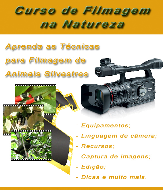 fotocurso